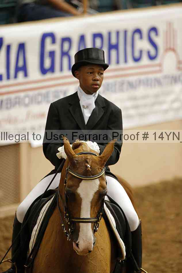 Proof Number 14yn_09210