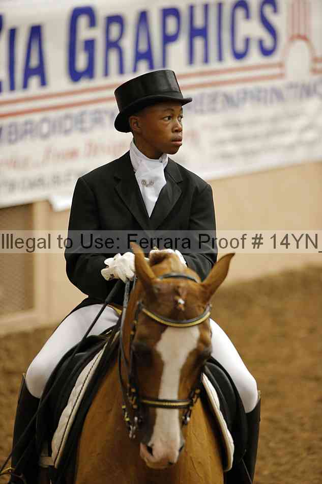 Proof Number 14yn_09211