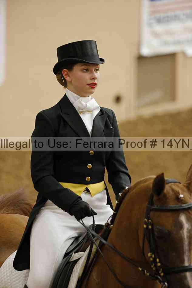 Proof Number 14yn_09217