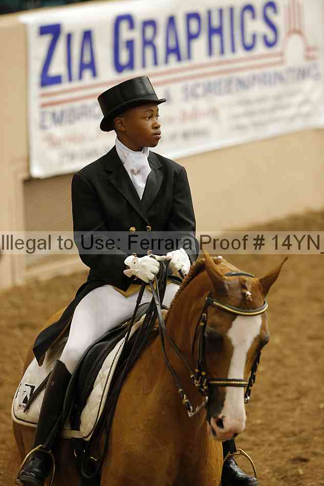 Proof Number 14yn_09226