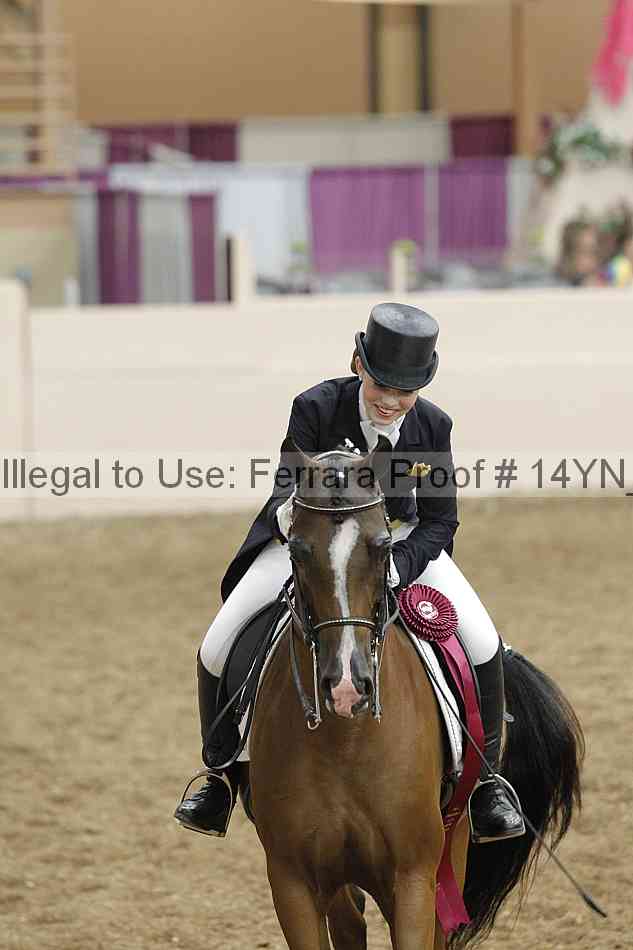 Proof Number 14yn_09252