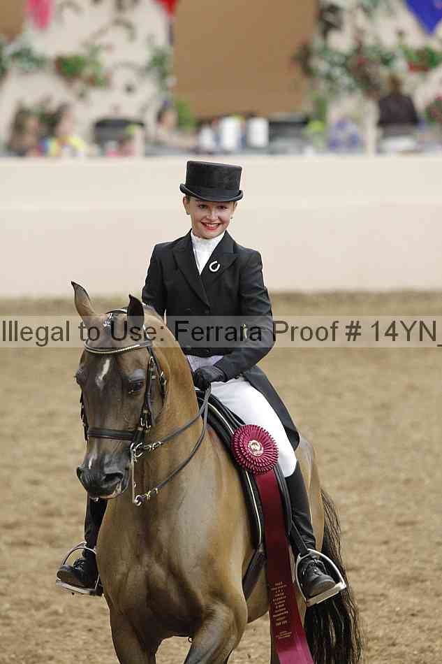 Proof Number 14yn_09302