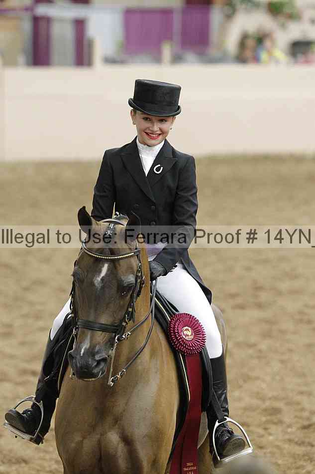 Proof Number 14yn_09304