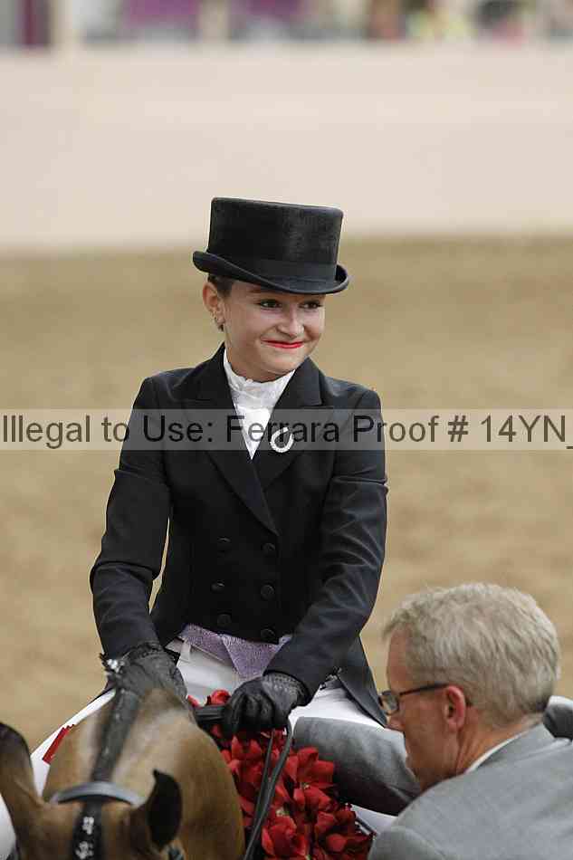 Proof Number 14yn_09313