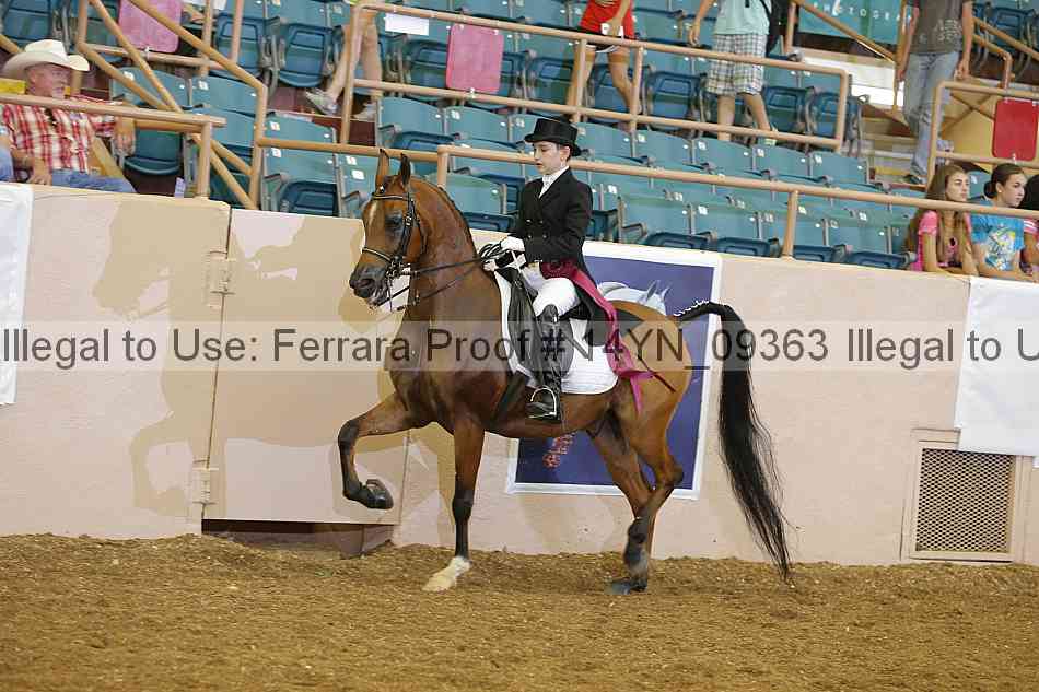 Proof Number 14yn_09363