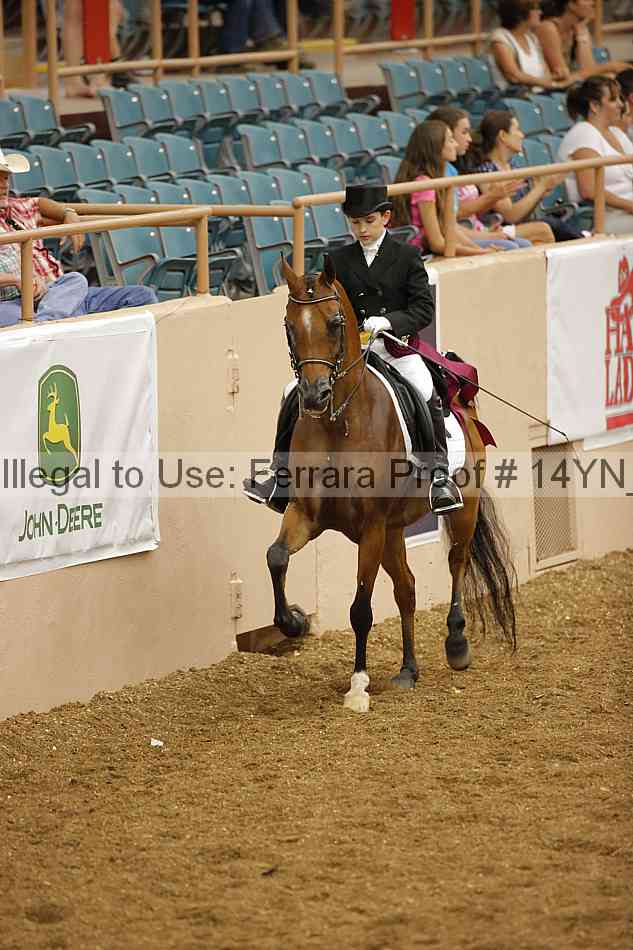 Proof Number 14yn_09367