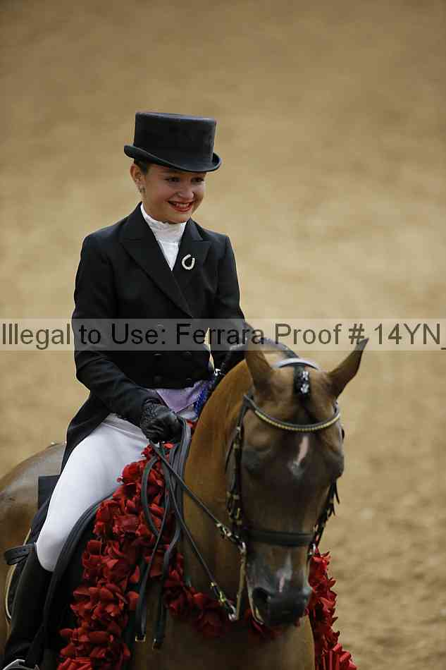 Proof Number 14yn_09380