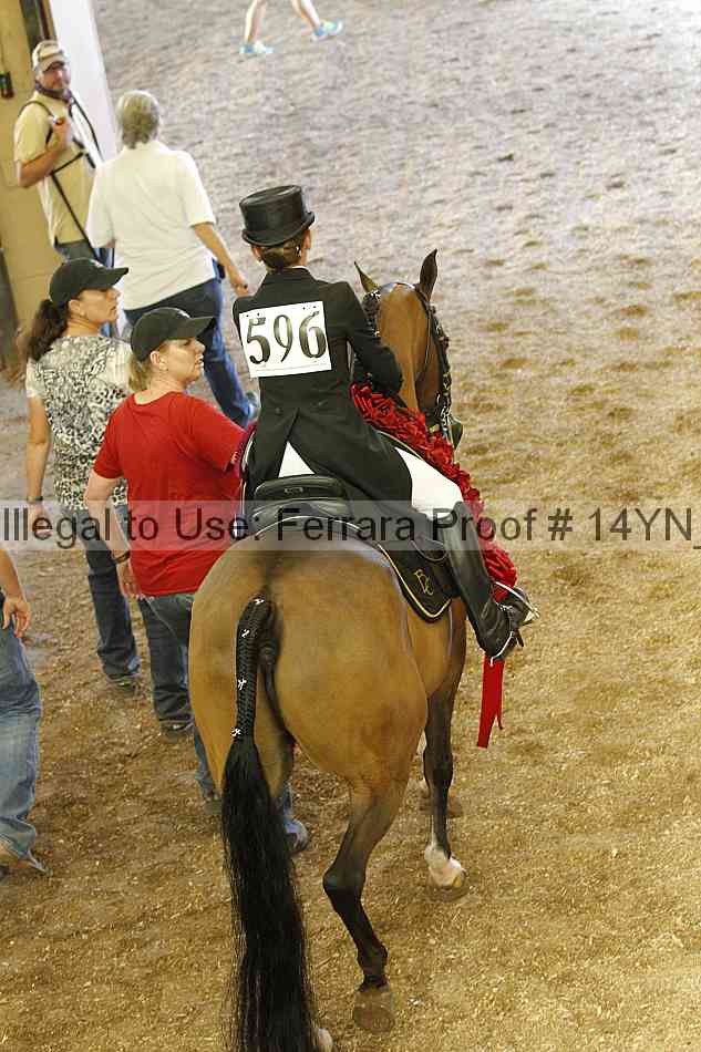 Proof Number 14yn_09391