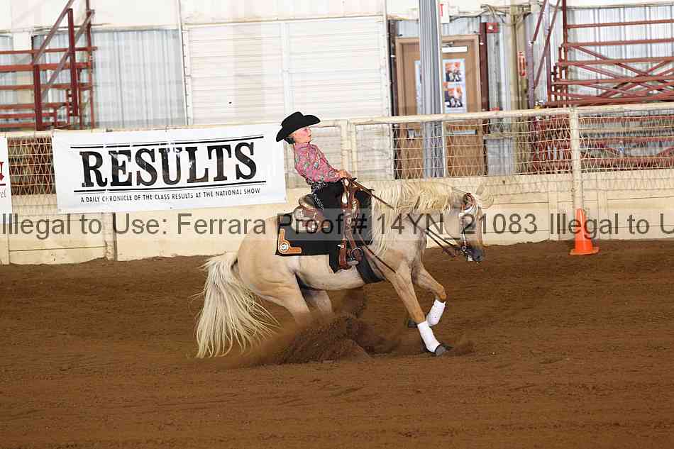 Proof Number 14yn_21083