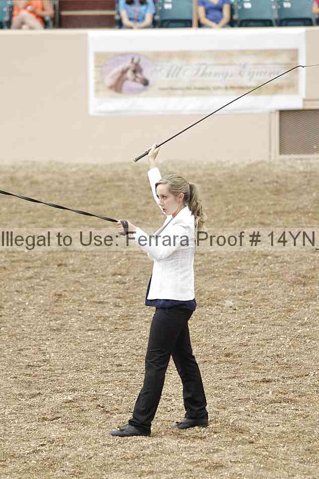 Proof Number 14yn_05551