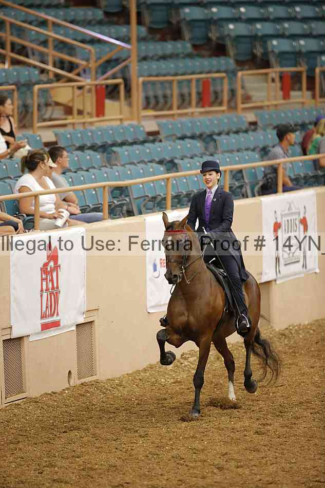 Proof Number 14yn_09579