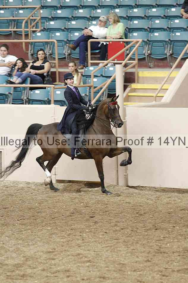 Proof Number 14yn_09588