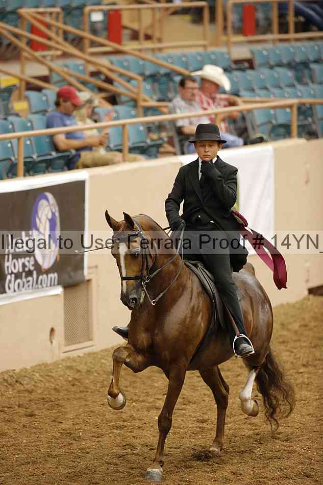 Proof Number 14yn_09670