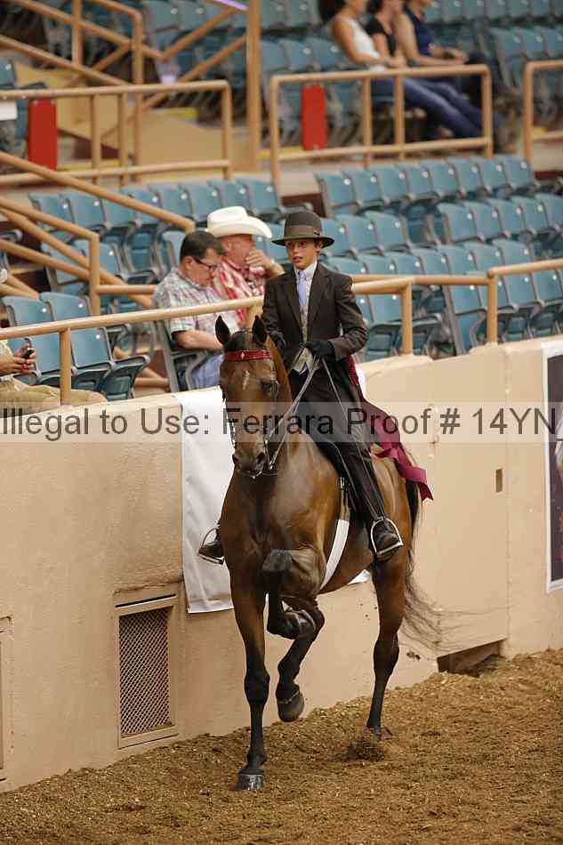 Proof Number 14yn_09682