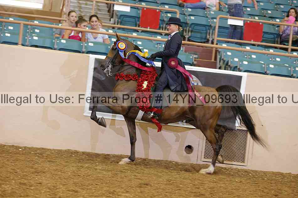 Proof Number 14yn_09693