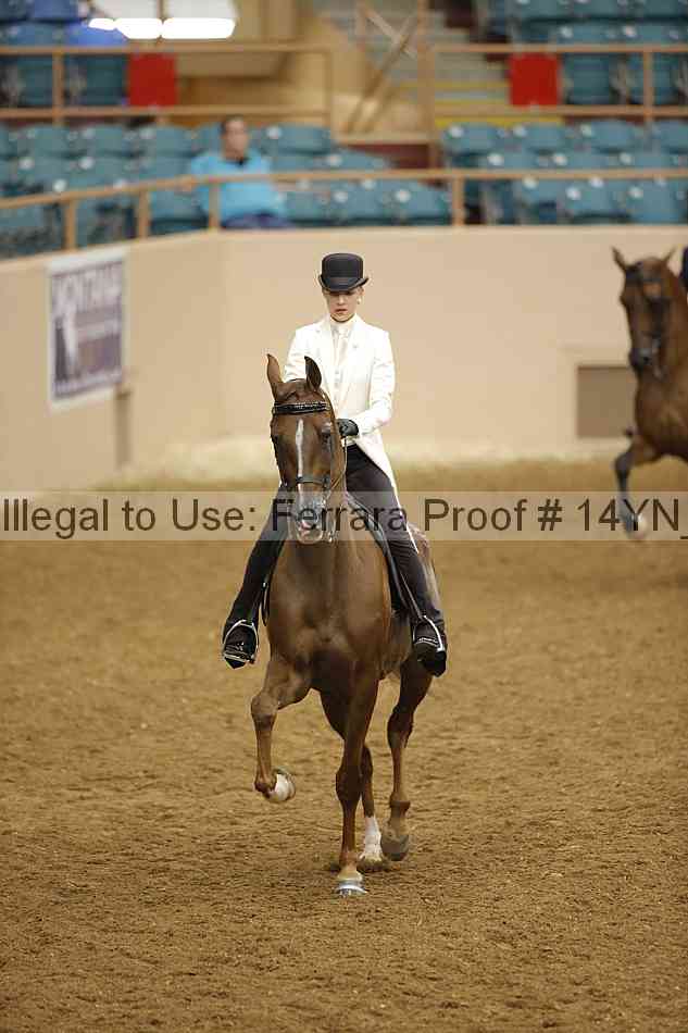 Proof Number 14yn_19263