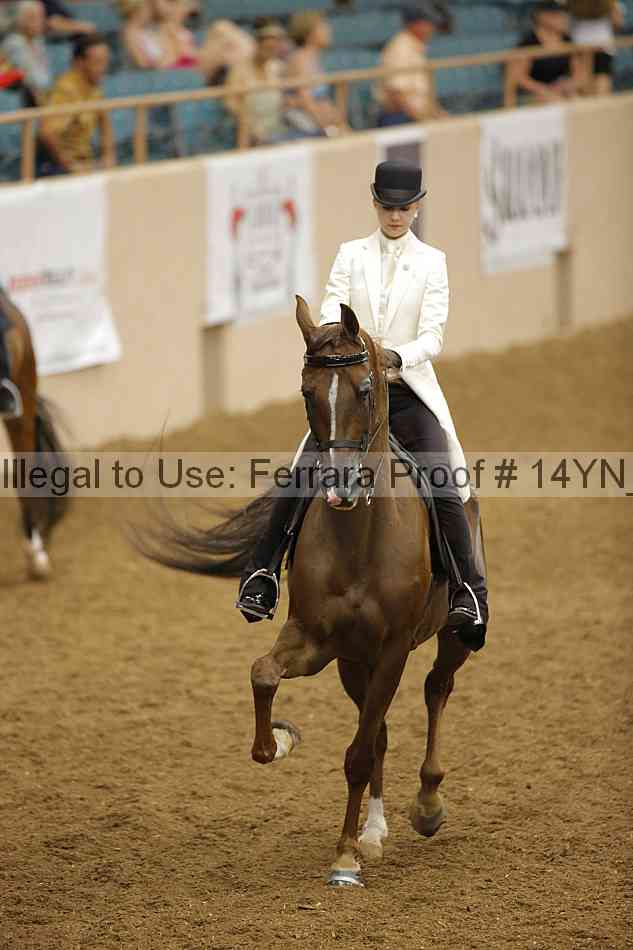 Proof Number 14yn_19264