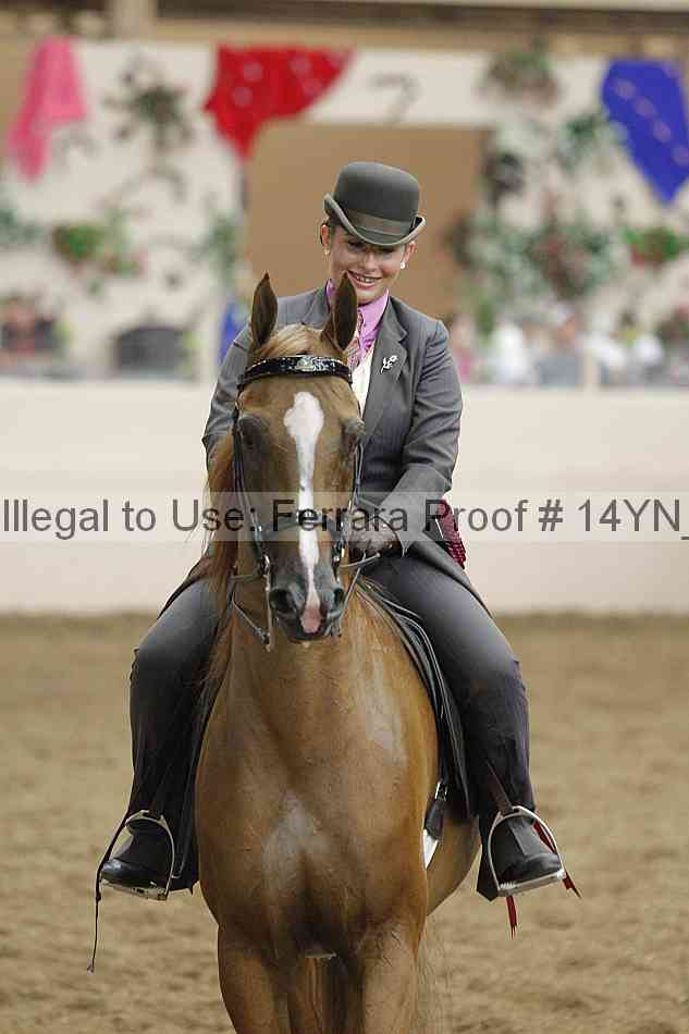 Proof Number 14yn_19303