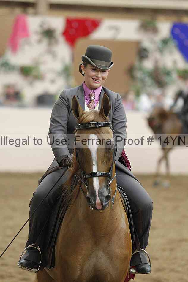 Proof Number 14yn_19304