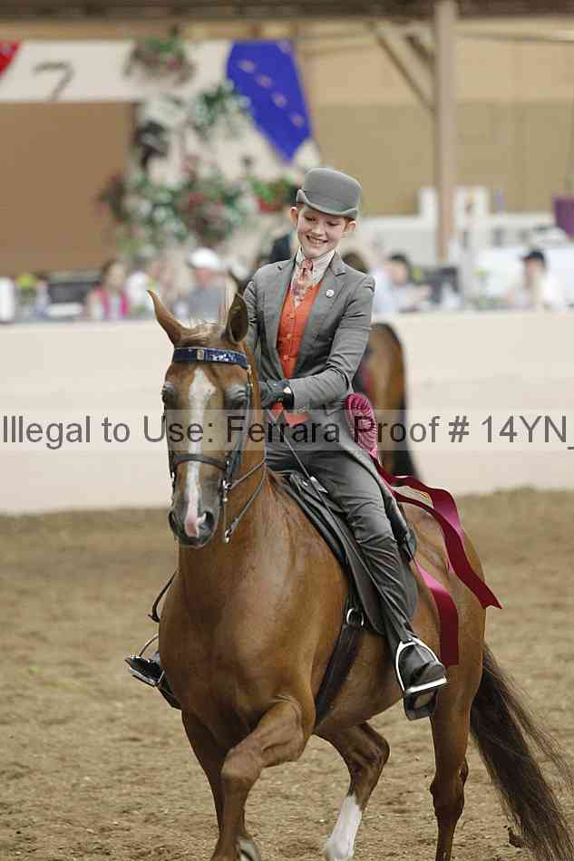 Proof Number 14yn_19320