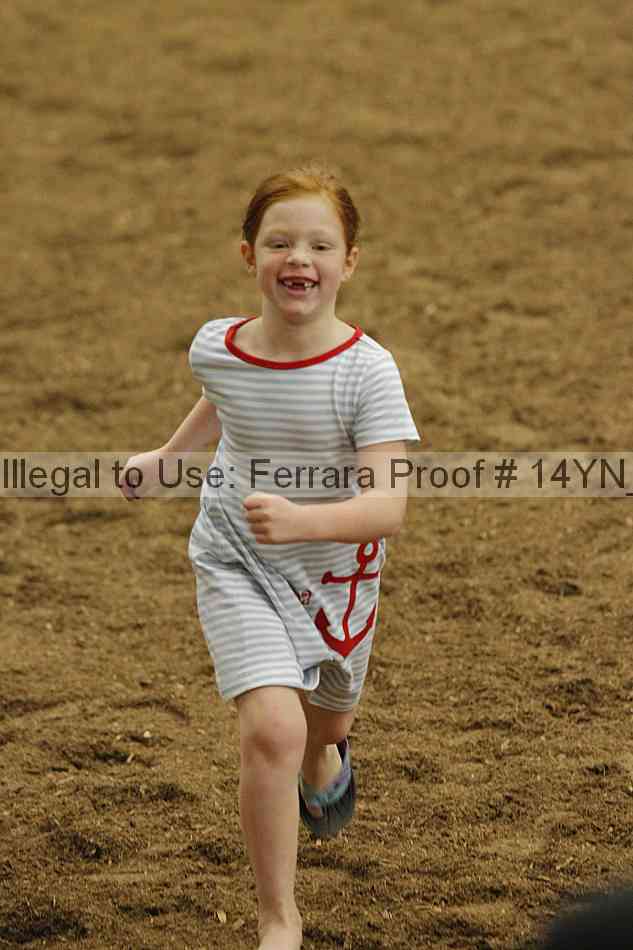 Proof Number 14yn_19336