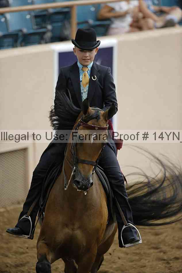 Proof Number 14yn_19362
