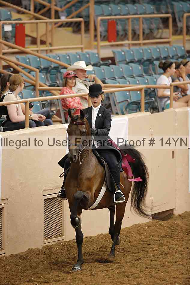 Proof Number 14yn_19380