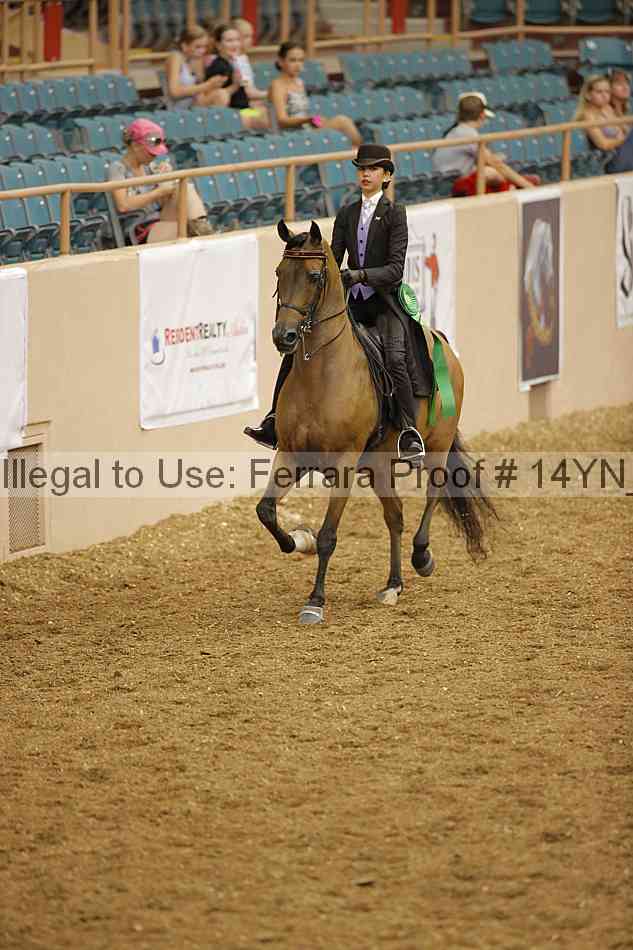 Proof Number 14yn_08021
