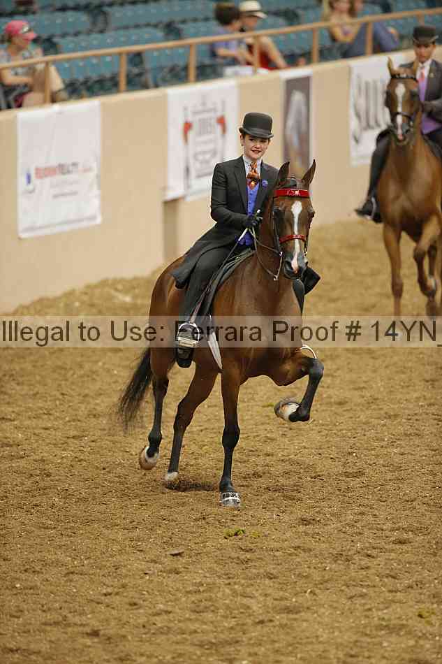 Proof Number 14yn_08048