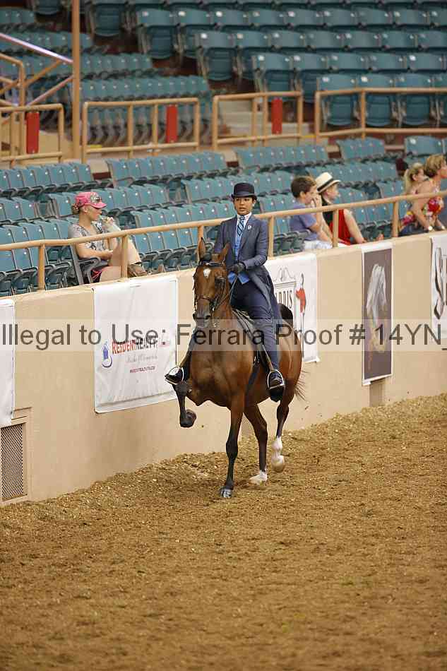 Proof Number 14yn_08055