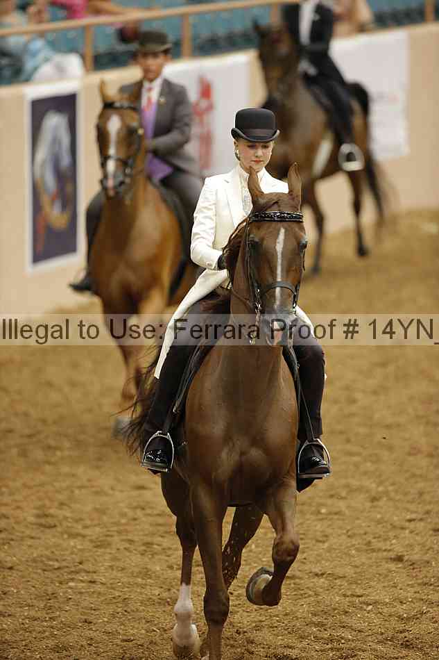 Proof Number 14yn_08059