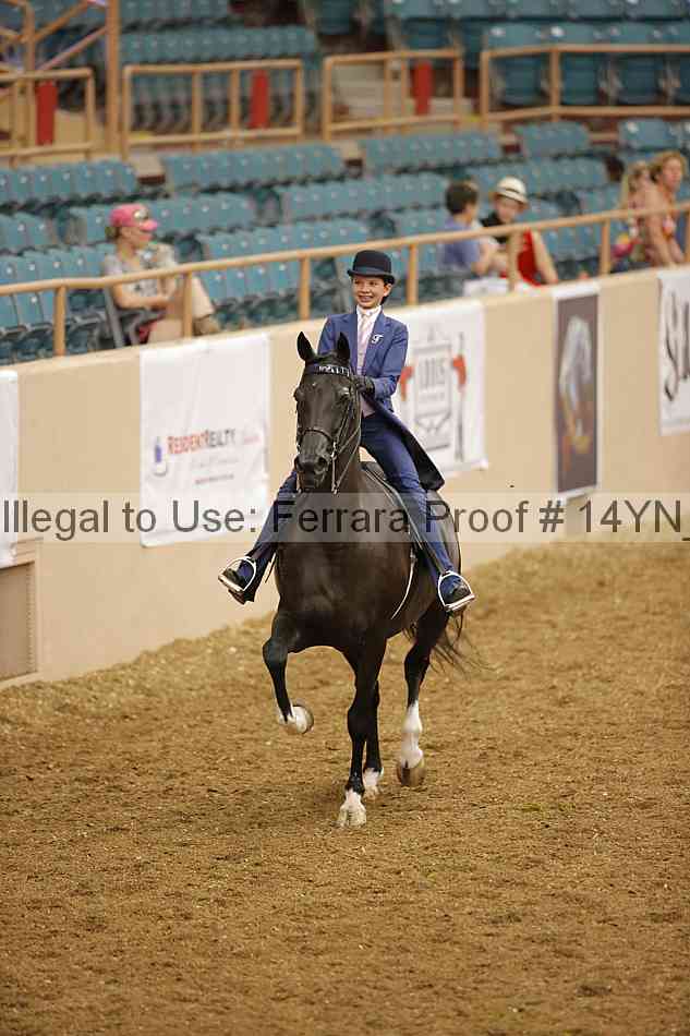 Proof Number 14yn_08065