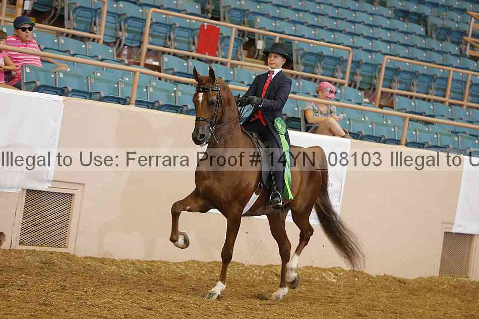 Proof Number 14yn_08103