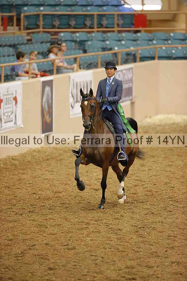Proof Number 14yn_08108