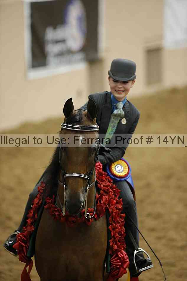 Proof Number 14yn_22805