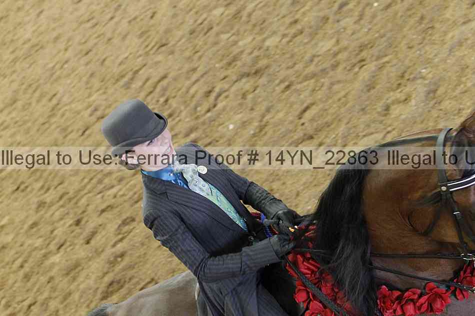 Proof Number 14yn_22863