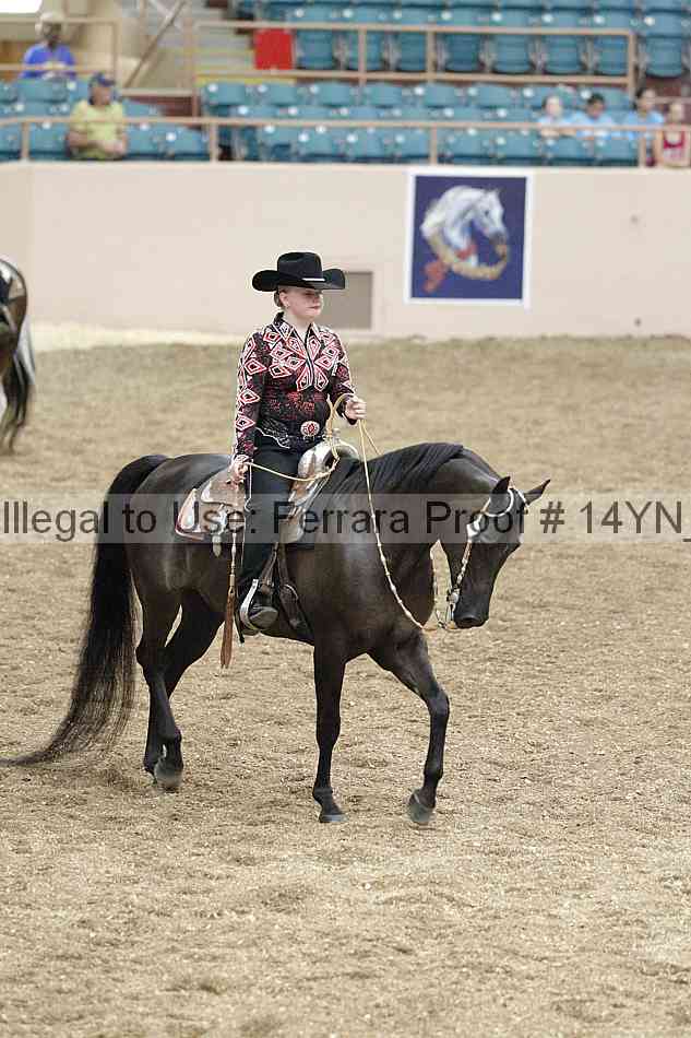 Proof Number 14yn_03890