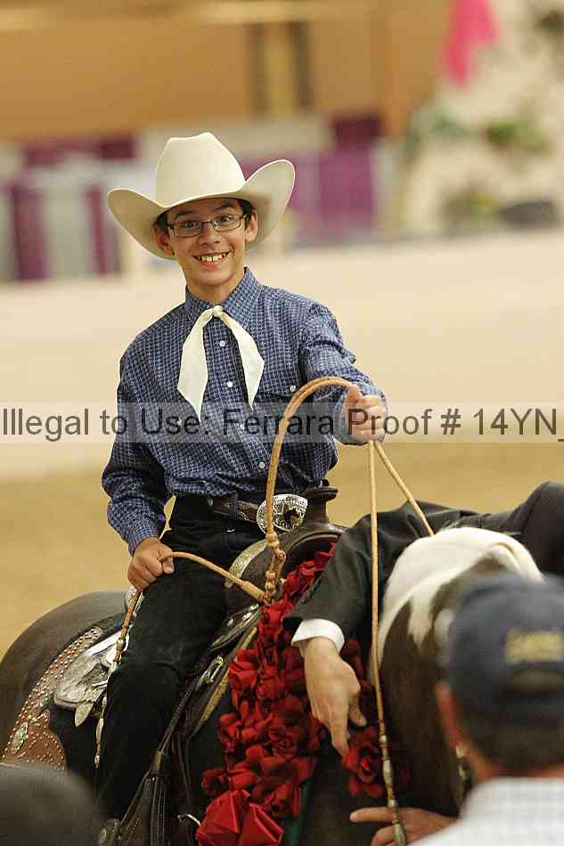 Proof Number 14yn_03979