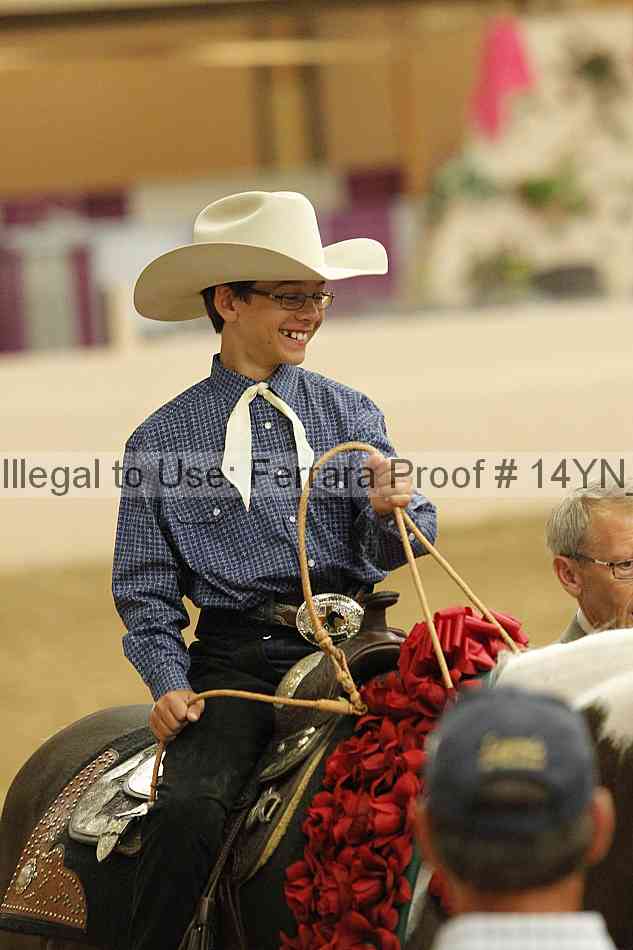 Proof Number 14yn_03981