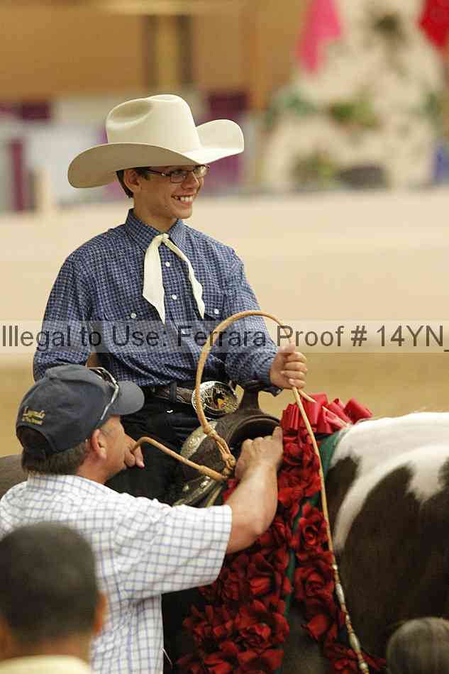Proof Number 14yn_03986