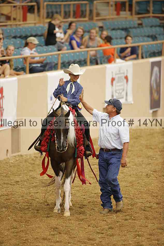 Proof Number 14yn_04006