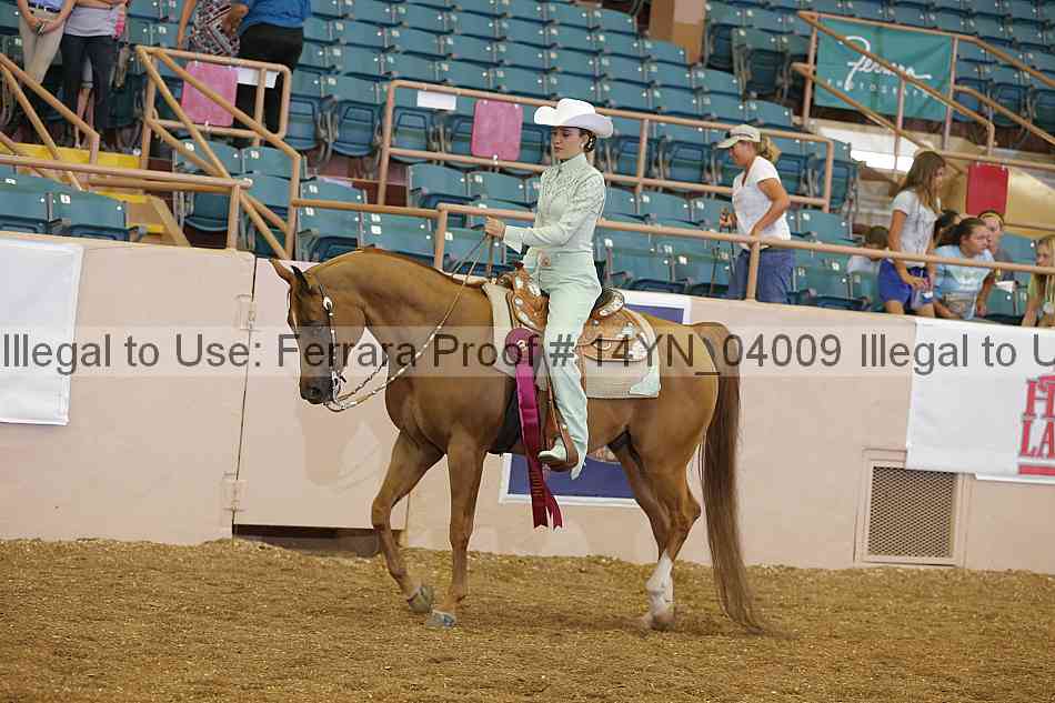 Proof Number 14yn_04009