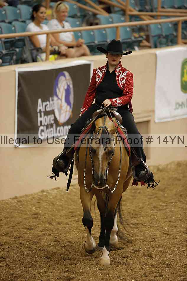 Proof Number 14yn_04040