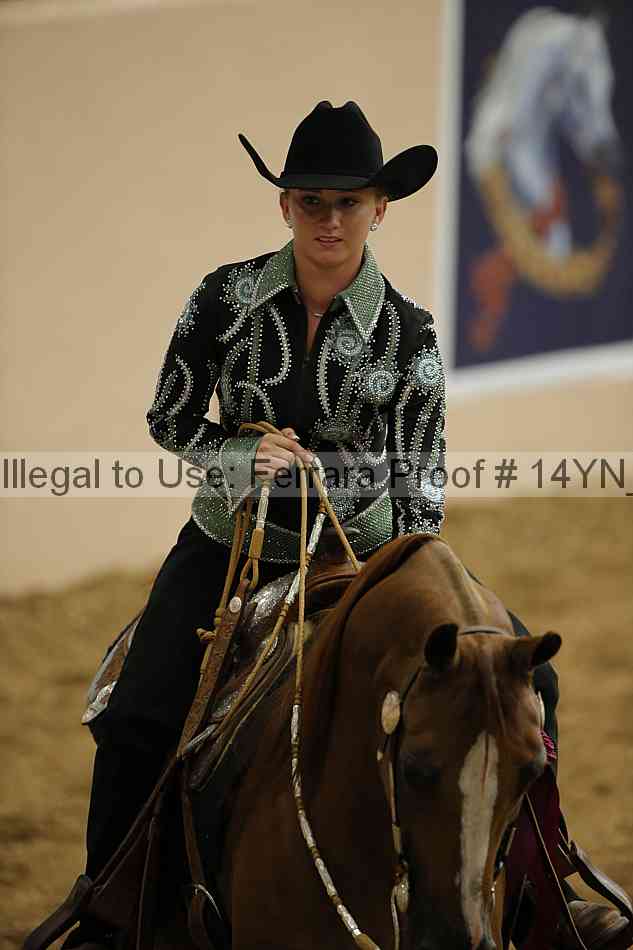 Proof Number 14yn_04049