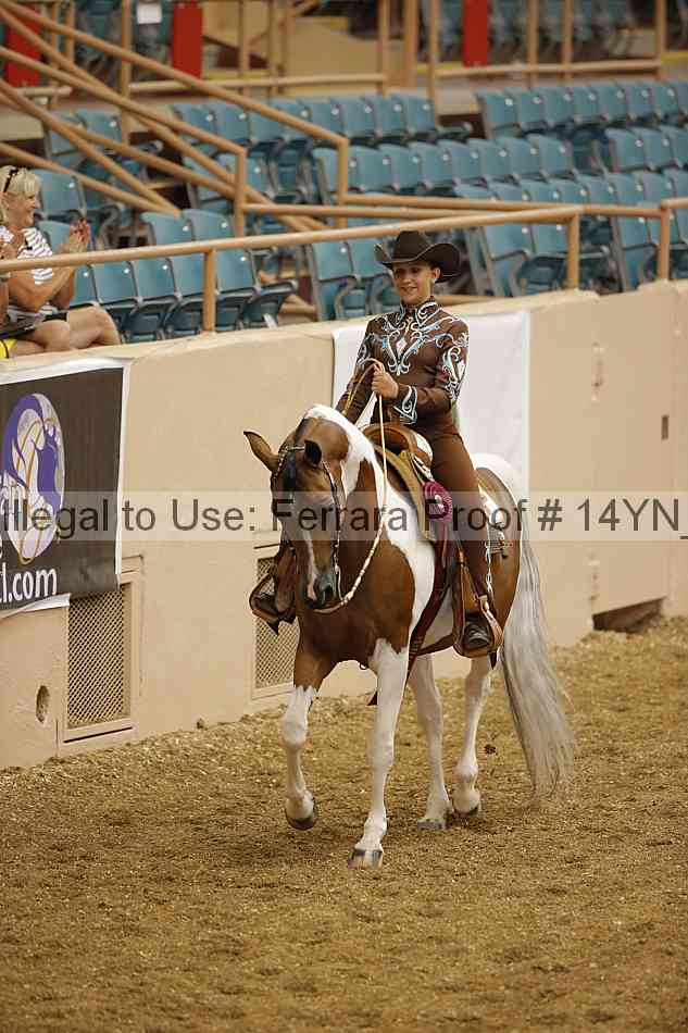 Proof Number 14yn_04051