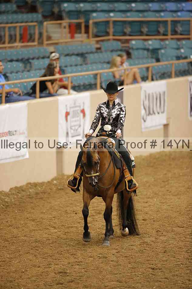 Proof Number 14yn_14718