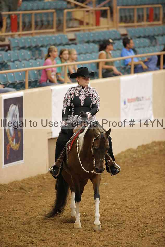Proof Number 14yn_14737