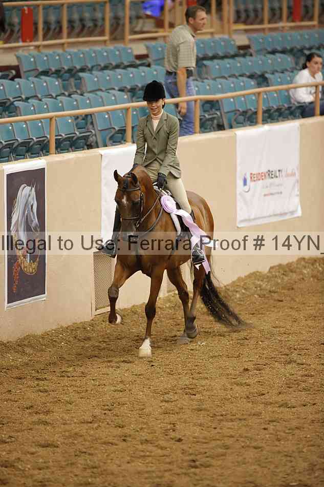 Proof Number 14yn_15443