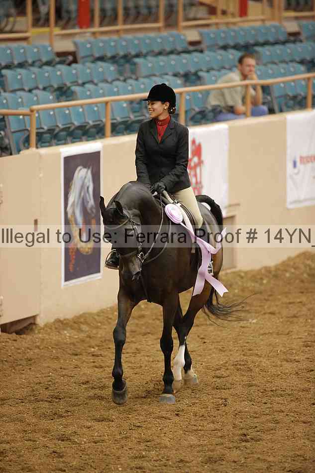 Proof Number 14yn_15466