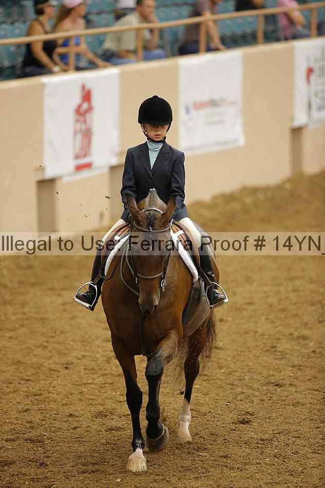 Proof Number 14yn_15515